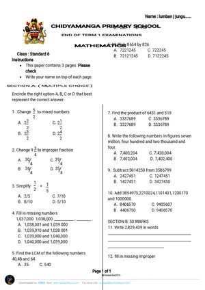 2016 Chidyamanga Standard 6 Mathematics Past Paper - Preview