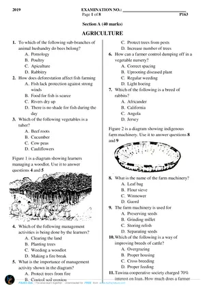 2019 Mock PSLCE Primary Science - Preview