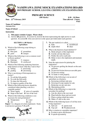 2019 Namiwawa Mock Primary Science - Preview