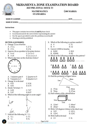 2019 Nkhamenya Standard 6 Pre-Exam Mathematics - Preview