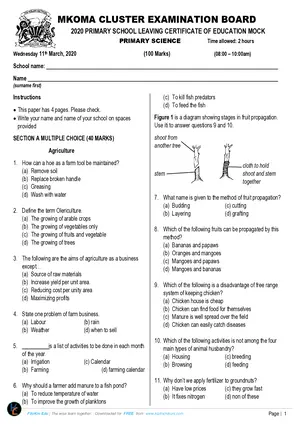 2020 Mkoma PSLCE Primary Science - Preview