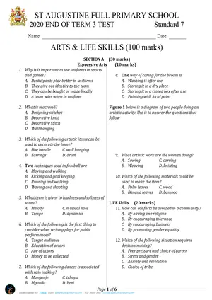 2020 Standard 7 St Augustine Arts and Life Skills Past Paper - Preview