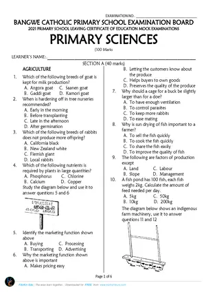 2021 Bangwe Catholic School Standard 8 PSLCE Primary Sciences Mock - Preview