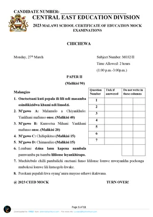 2023 CEED MSCE Chichewa Paper I - Preview