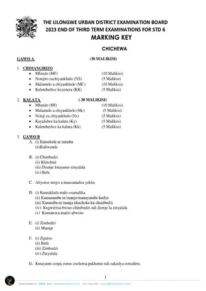 2023 Lilongwe Urban Standard 6 Term 3 Chichewa Past Paper with Answers - Preview