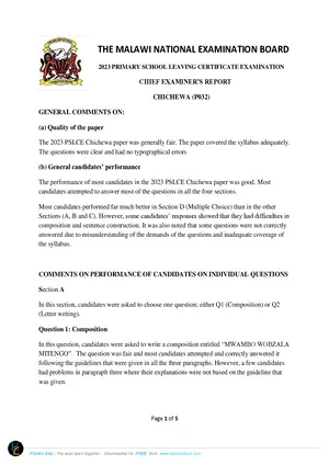 2023 MANEB Chief Exam Report Chichewa PSLCE - Preview