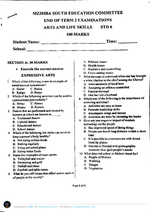 2023 MZIMBA SOUTH Standard 6 Term 2 Arts and Life Skills Exams - Preview