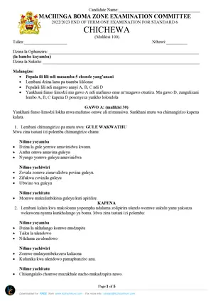 2023 Machinga Boma Standard 6 Term 1 Chichewa Past Paper - Preview