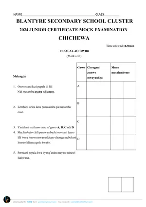 2024 Blantyre Secondary School (BSS) Cluster JCE Chichewa Paper II - Preview