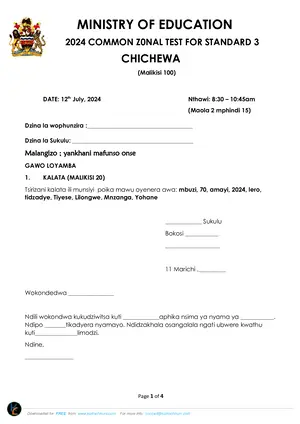 2024 CZT Std 3 Term 3 Chichewa Past Paper - Preview