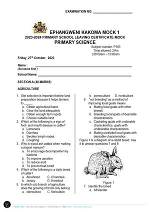 2024 Emphangweni Primary Science Mock 1 - Preview