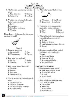 2024 Katoto Standard 7 Arts and Life Skills Past Paper - Preview