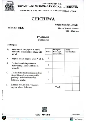 2024 MANEB MSCE Chichewa Paper III - Preview