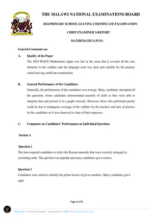 2024 MANEB PSLCE Chief Examiners Report Mathematics - Preview