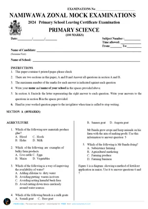 2024 Namiwawa Zone PSLCE Primary Science - Preview