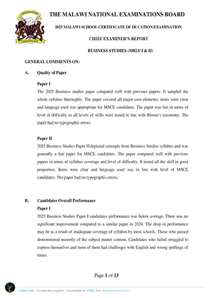 2025 MANEB MSCE Business Studies Chief Examiner's Report - Preview