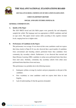 2025 MANEB MSCE Social Chief Examiner's Report - Preview