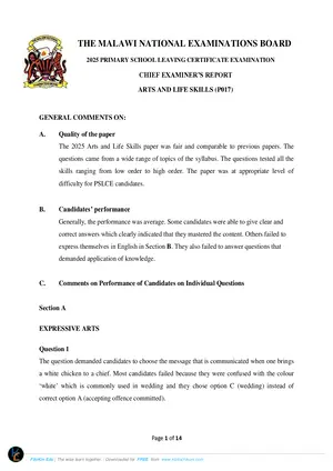 2025 MANEB PSLCE Chief Examiners Report Arts and Life Skills - Preview