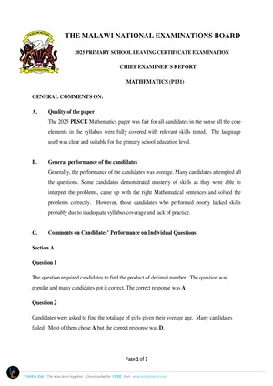 2025 MANEB PSLCE Chief Examiners Report Mathematics - Preview