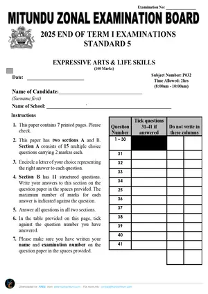 2025 Mitundu Zone Standard 5 Term 1 Arts & Life Skills Past Paper - Preview