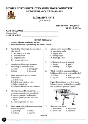 2025 Mzimba North Standard 6 Term 3 Expressive Arts - Preview