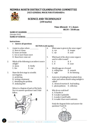 2025 Mzimba North Standard 6 Term 3 Science and Technology Past Paper - Preview