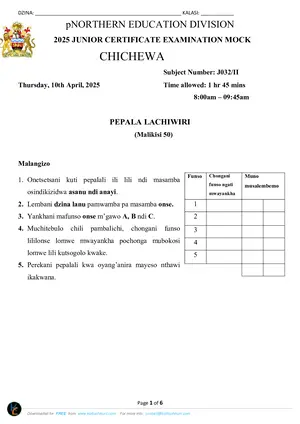 2025 NED JCE Chichewa Paper II - Preview