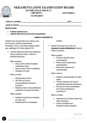 2025 Nkhamenya Standard 5 Pre-Exam Term 3 Primary Chichewa Paper - Preview