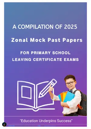 2025 Primary School Zonal Mock Past Papers - Preview