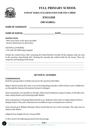 2025 Standard 5 Term 3 English - Preview
