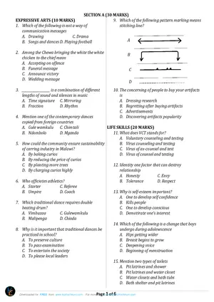 2025 Standard 7 Zolozolo Arts and Life Skills Past Paper - Preview