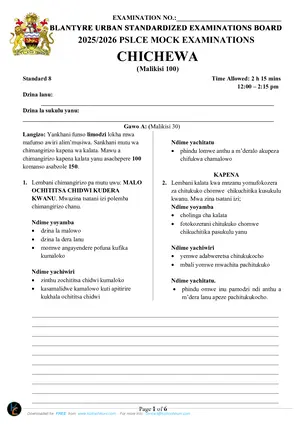 2026 Blantyre Urban PSLCE Chichewa Mock - Preview