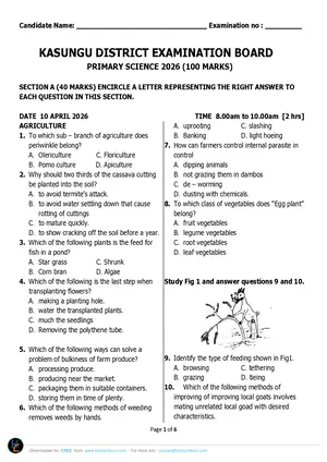 2026 Kasungu District PSLCE Primary Science KADEB Mock Paper with Answers - Preview