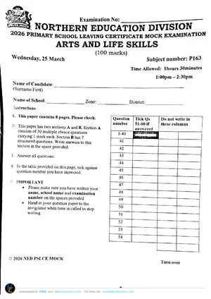 2026 NED PSLCE Arts and Life Skills Mock - Preview