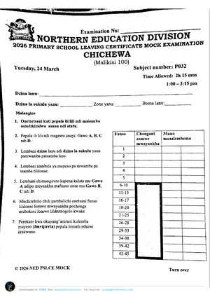 2026 Northern Education Division (NED) PSLCE Chichewa Mock - Preview