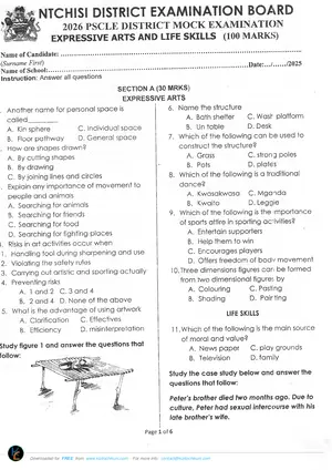 2026 Ntchisi PSLCE Arts and Life Skills Mock Past Papers - Preview