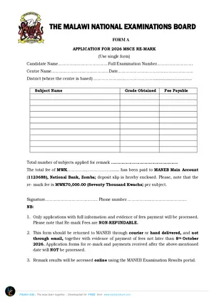2026 REMARK FORM (MSCE) - Preview