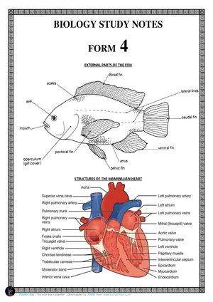 Form 4 Biology Summary Notes by Kasenda - Preview